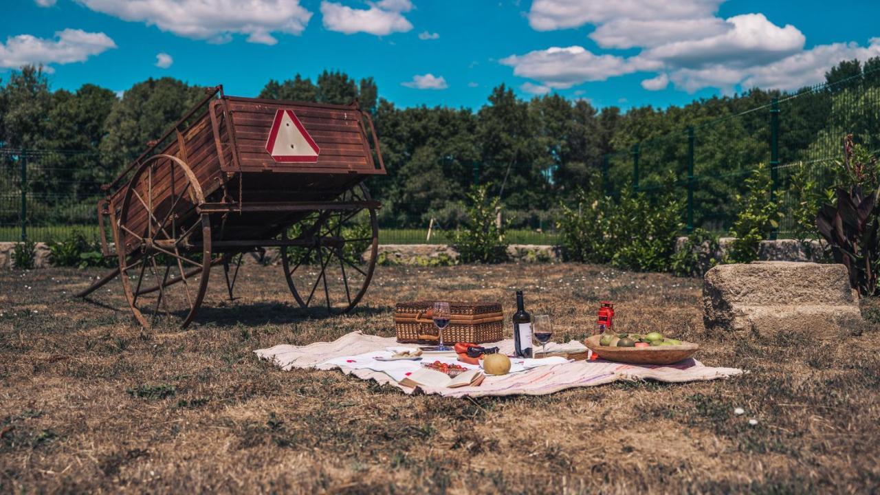 Arca Dos Animais - Farming & Spa Castelo Branco  Zewnętrze zdjęcie