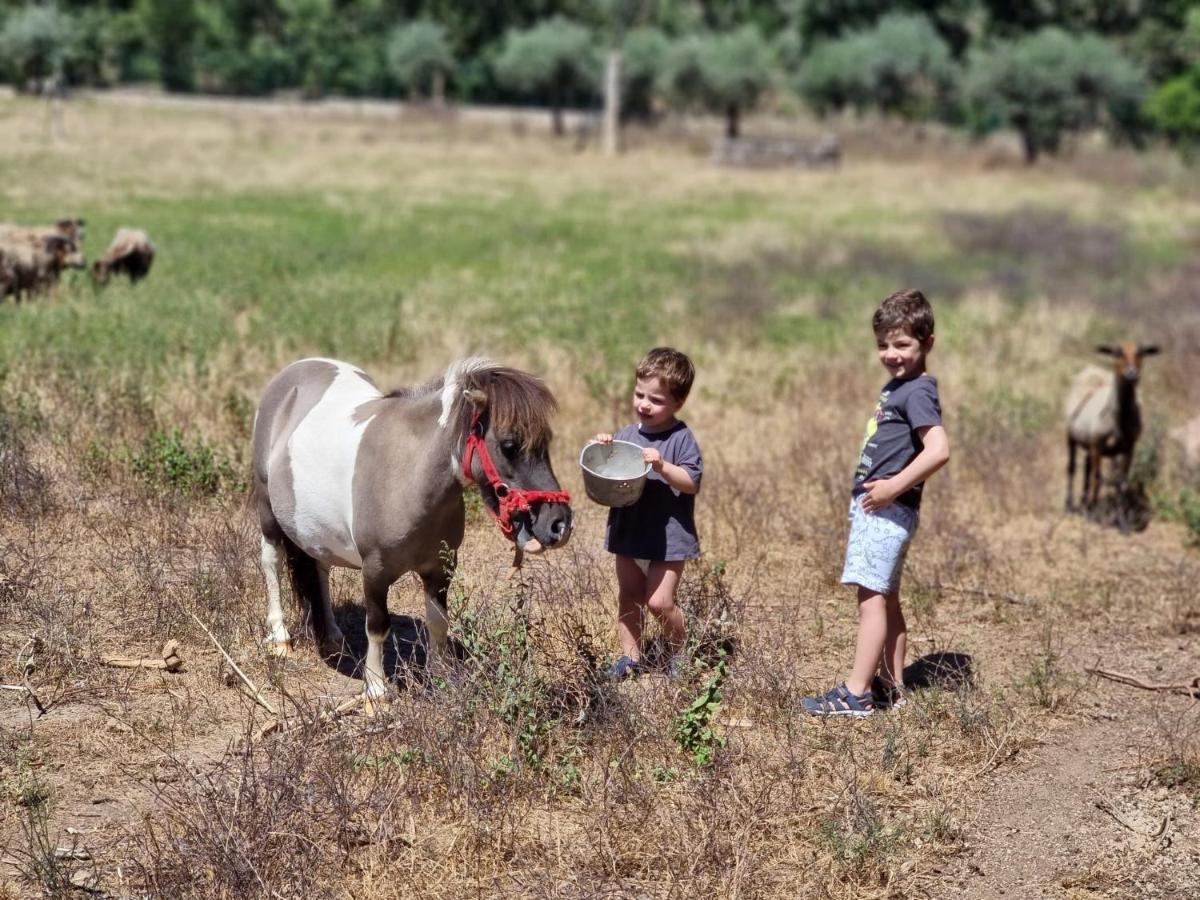 Arca Dos Animais - Farming & Spa Castelo Branco  Zewnętrze zdjęcie