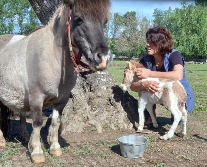 Arca Dos Animais - Farming & Spa Castelo Branco  Zewnętrze zdjęcie