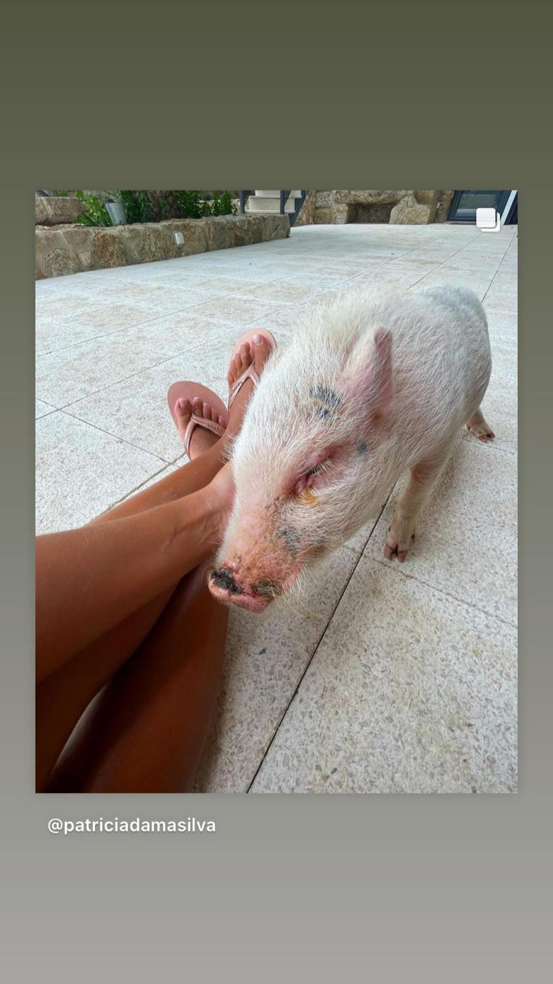 Arca Dos Animais - Farming & Spa Castelo Branco  Zewnętrze zdjęcie